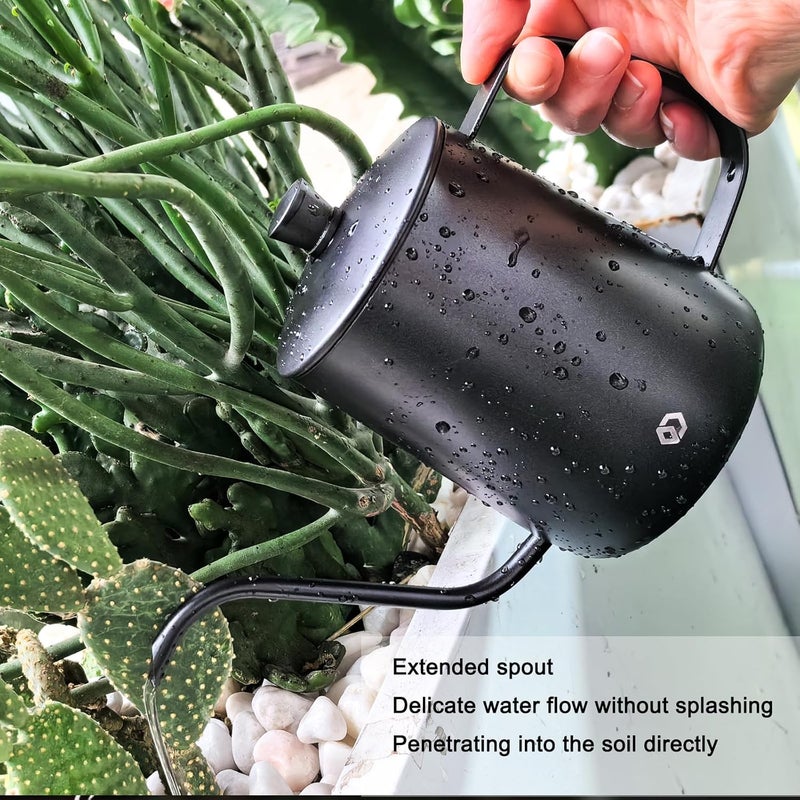 OFFIDIX Watering Can for Indoor Plants,Long Spout Metal Stainless Steel 21 oz/600 ml Watering Can with 14 oz/400ml Glass Plant Mister Spray Bottle for Plant Bonsai - Image 3